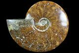 Polished, Agatized Ammonite (Cleoniceras) - Madagascar #88365-1